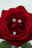 Diamond Star
