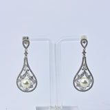 Snow Drop